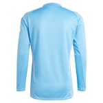 Aston Villa aston villa adidas goalkeeper shirt 2024-25 – long sleeve – 201964005 with custom printing Collection | AVFC Jerseys & Fan Gear