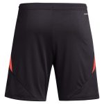 Aston Villa aston villa adidas goalkeeper shorts 2024-25 – 201964002 Collection | AVFC Jerseys & Fan Gear