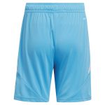 Aston Villa aston villa adidas goalkeeper shorts 2024-25 – 201964006 with custom printing Collection | AVFC Jerseys & Fan Gear