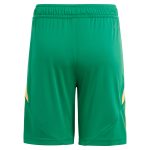 Aston Villa aston villa adidas goalkeeper shorts 2024-25 – 201964010 with custom printing Collection | AVFC Jerseys & Fan Gear