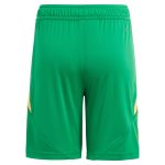 Aston Villa aston villa adidas goalkeeper shorts 2024-25 – kids – 201964012 with custom printing Collection | AVFC Jerseys & Fan Gear