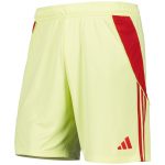 Aston Villa aston villa adidas goalkeeper shorts 2025-26 with custom printing Collection | AVFC Jerseys & Fan Gear