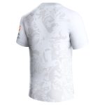 Aston Villa aston villa castore away shirt 2023-24 with custom printing Collection | AVFC Jerseys & Fan Gear